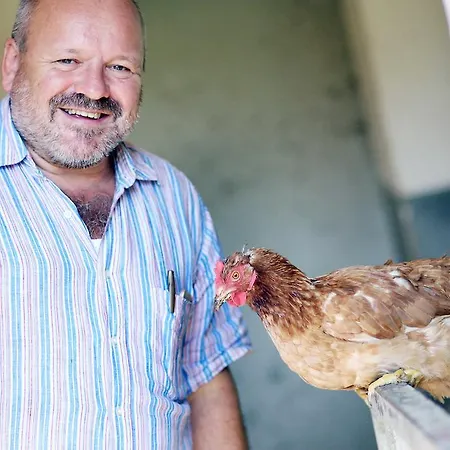 Perbersdorfer Heuriger Neuhofen an der Ybbs