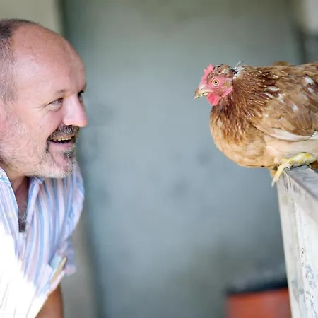 Perbersdorfer Heuriger 3*