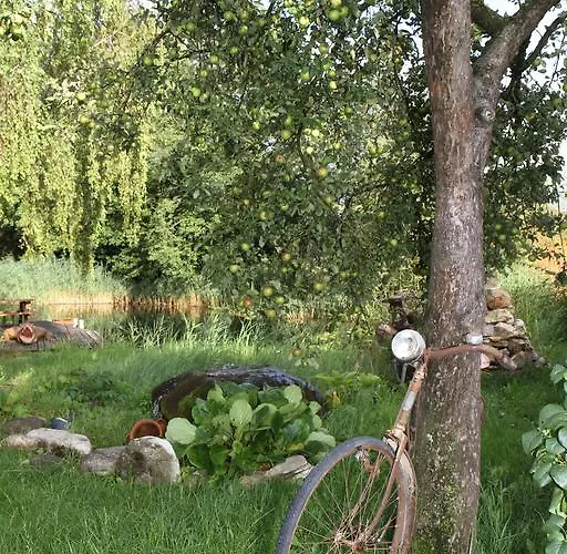 Perbersdorfer Heuriger Neuhofen an der Ybbs