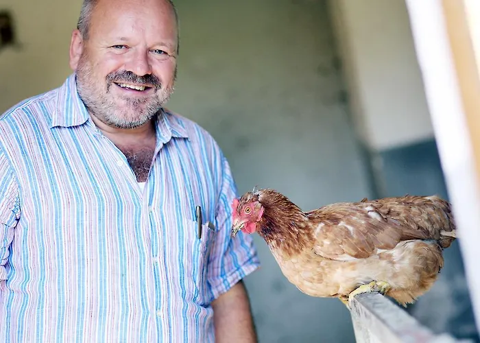 Perbersdorfer Heuriger Neuhofen an der Ybbs