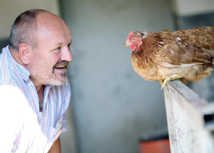 Perbersdorfer Heuriger 3*